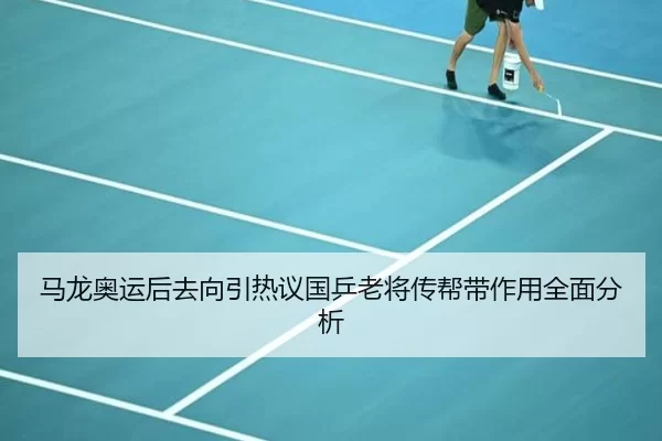 马龙奥运后去向引热议国乒老将传帮带作用全面分析