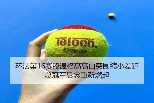 huan-fa-di-sai-duan-wen-ge-gao-gao-shan-tu-wei-suo-xiao-cha-ju-zong-guan-jun-xuan-nian-chong-xin-ran-qi-3-848.jpg